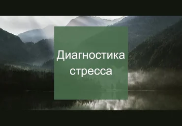 Елена Суханова Диагностика стресса 2025 слив
