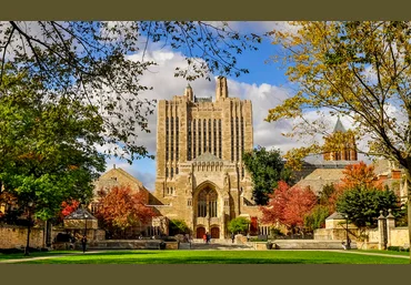 Yale University Введение в психологию. Лекции Йельского Университета Часть 8 из 10 слив