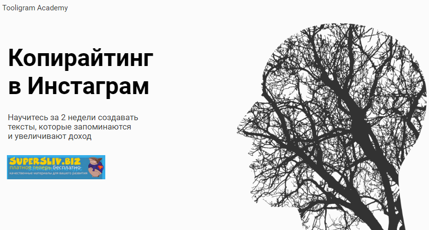 Tooligram Academy Копирайтинг в Инстаграм слив курса