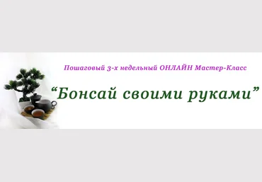 МК «Бонсай своими руками» скачать слив