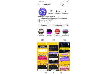 frontcat1 Грокаем собеседования. Frontend developer 2023 слив