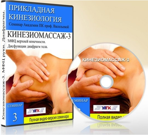Кинезиомассаж - 3. Мышечные цепи плечевого пояса - Чижикова 2016 слив курса