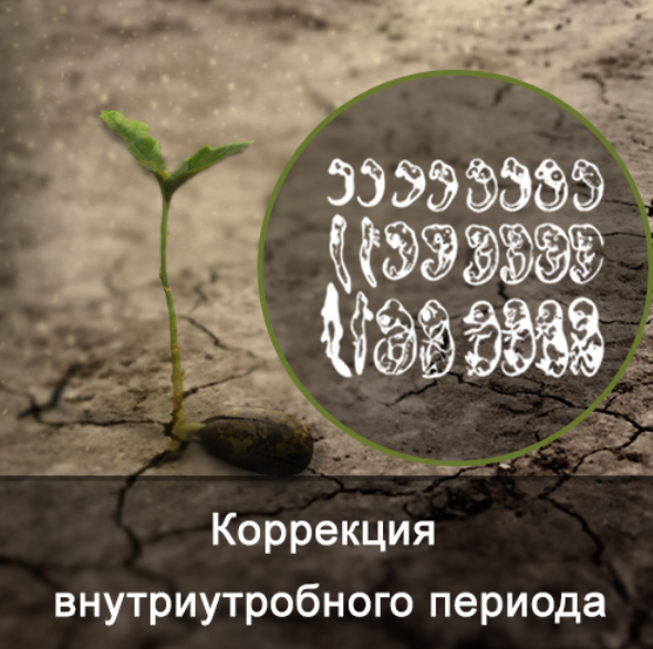 Ксения Меньшикова Коррекция внутриутробного развития 2021 слив курса