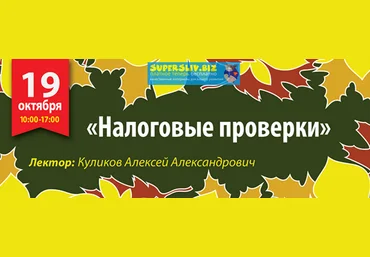 Алексей Куликов Налоговые проверки - основания и процедуры проведения, способы защиты интересов слив
