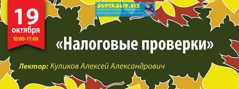 Алексей Куликов Налоговые проверки - основания и процедуры проведения, способы защиты интересов слив курса