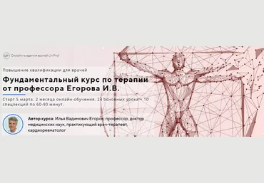 Илья Егоров Фундаментальный курс по терапии. Полный курс 2023 слив