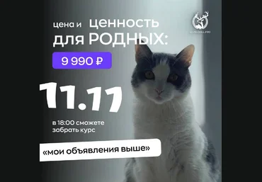 Владимир Шамо Мои объявления выше. Курс по авито 2024 слив