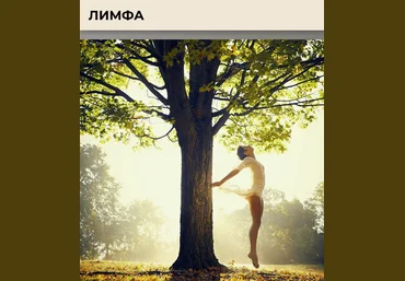 Виктория Орлинская cardiodok Лимфа. Тариф Расширенный 2025 слив