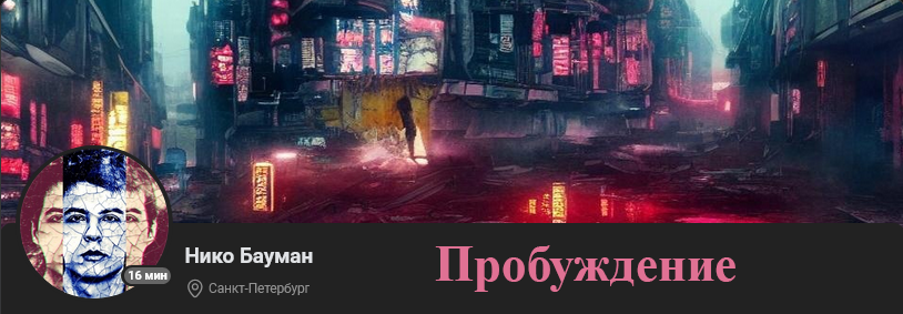 Нико Бауман Пробуждение 2025 слив курса