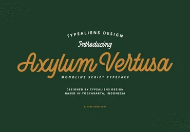 Creativemarket Axylum Vertusa Font скачать слив