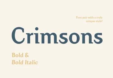 Fontbundles Crimsons Font 2021 слив