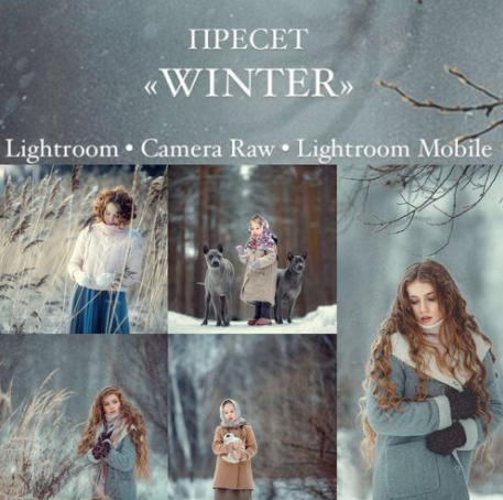 Анна Мельникова Пресет Winter 2021 слив курса