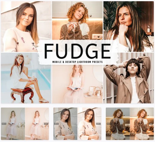 Elements.Envato Fudge Mobile & Desktop Lightroom Presets 2021 слив курса