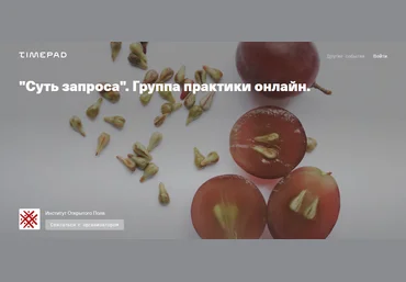 Елена Веселаго Суть запроса. Группа практики онлайн 2021 слив