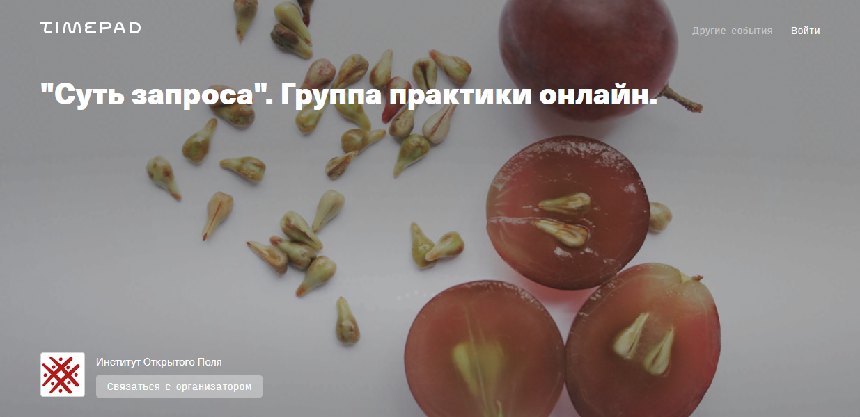 Елена Веселаго Суть запроса. Группа практики онлайн 2021 слив курса