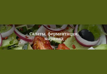 Валерия Гезер valeria_purelife Салаты, ферментация, маринад 2024 слив