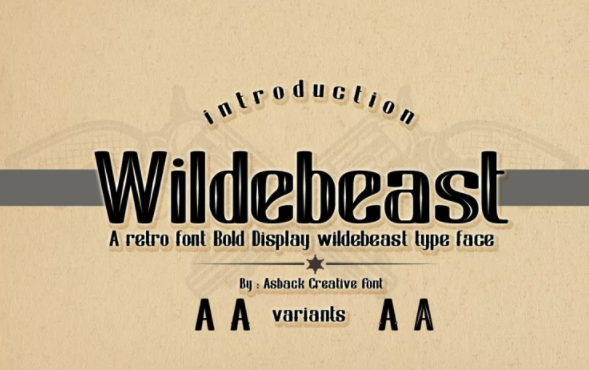 Fontbundles Wildebeast Font 2021 слив курса