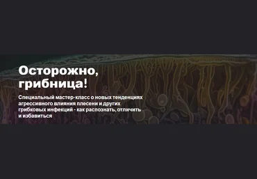 Dr.Maar Грибы атакуют! Новый вид угрозы здоровью человека 2023 слив