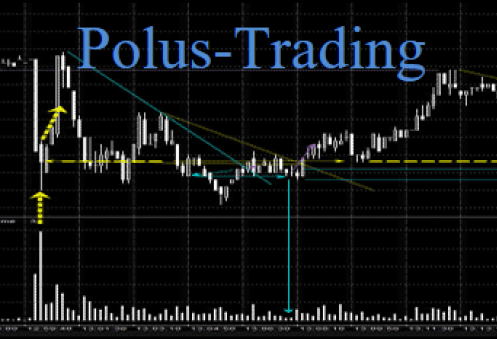 Курс Анвара Садыкова polus-trading 4 и 5 финальная группа слив курса
