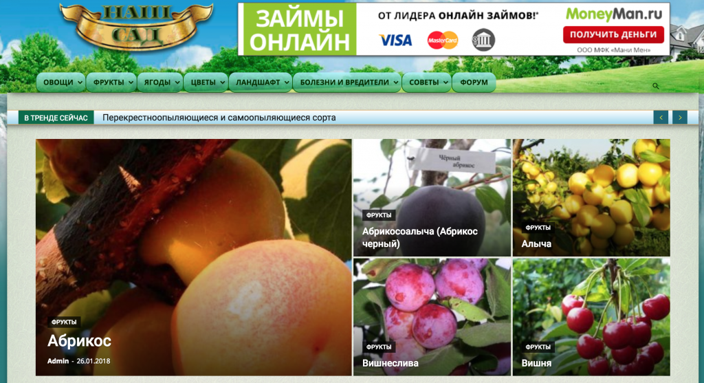 Школа Monta Готовые прибыльные сайты   пошаговые инструкции по работе с ними для получения дохода. слив курса