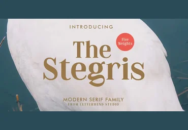 Myfonts The Stegris Font 2021 слив