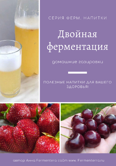 Анна Fermenterra Fermenterra Двойная ферментация, домашние газировки 2023 слив курса