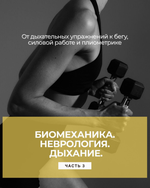 Александр Волоткевич Биомеханика и неврология дыхания. Часть 3 2025 слив курса