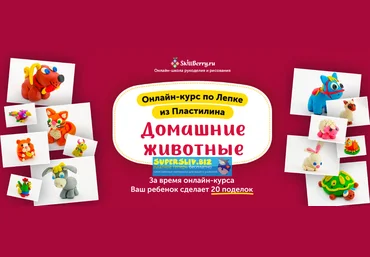 Skillberry Лепка из пластилина. Домашние животные 2020 слив