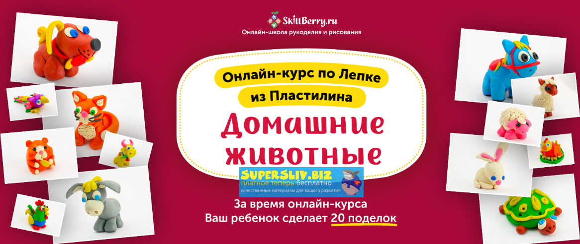 Skillberry Лепка из пластилина. Домашние животные 2020 слив курса