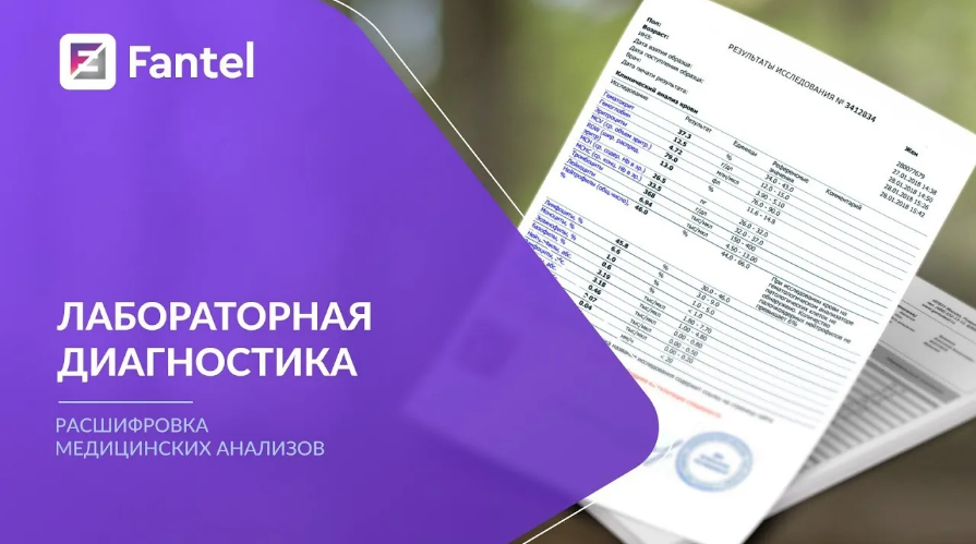 Антон Поляков Эксклюзивный флагманский курс: Расшифровка медицинских анализов 2023 слив курса