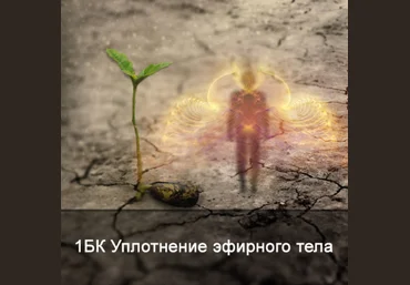 Ксения Меньшикова Повышение плотности эфирного тела 2021 слив