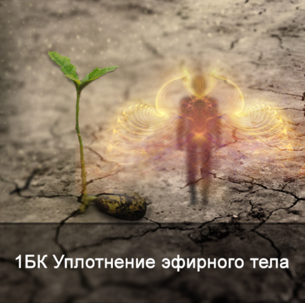 Ксения Меньшикова Повышение плотности эфирного тела 2021 слив курса