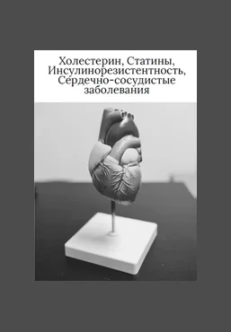О. Видманова Холестерин, статины, инсулинорезистентность, сердечно-сосудистые заболевания 2025 скачать слив