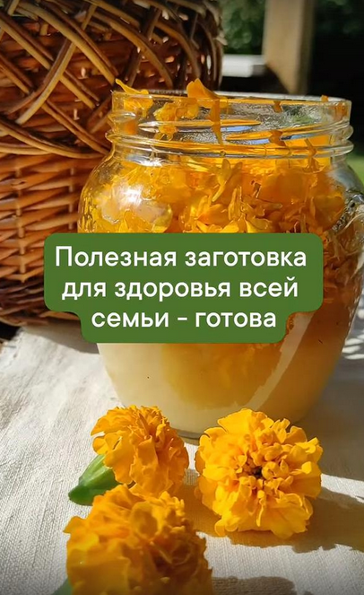 Разнотравье Медовые эликсиры 2024 слив курса