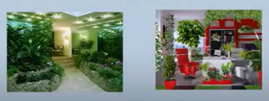 Prodecoring Фитодизайн в интерьере 2024 слив курса