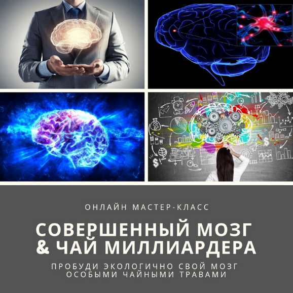 Юрий Курский Мудрость трав Академия фитонутрициологии Совершенный мозг & Чай миллиардера 2023 слив курса