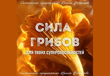 Ирина Выборнова grunichka.nutrition Сила грибов для твоих суперспособностей 2024 слив