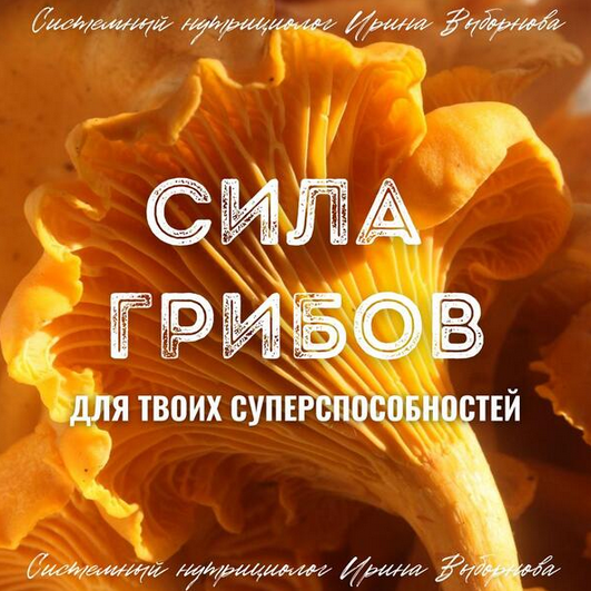 Ирина Выборнова grunichka.nutrition Сила грибов для твоих суперспособностей 2024 слив курса