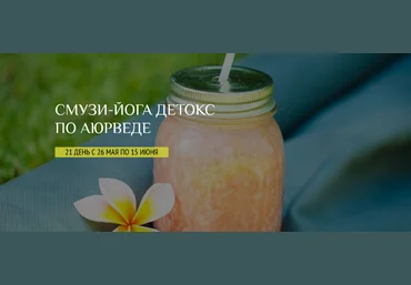Е. Левицкая, С. Ермакова Школа здорового питания Смузи-йога детокс по Аюрведе 2022 слив