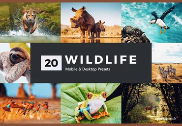 Creativemarket 20 Wildlife Lightroom Presets & LUTs 2020 слив