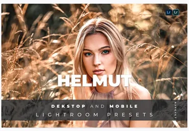 Elements.Envato Helmut Desktop and Mobile Lightroom Preset 2021 скачать слив