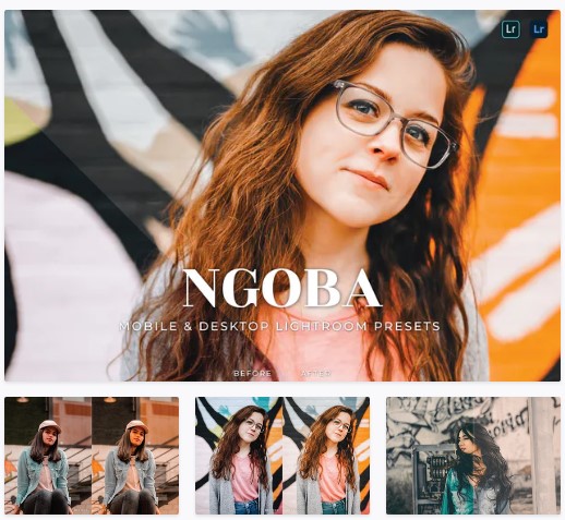 Elements.Envato Ngoba Mobile and Desktop Lightroom Presets 2021 слив курса