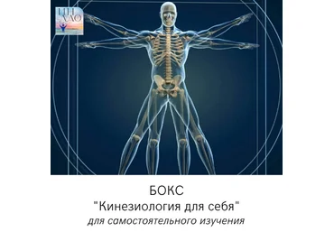 Сергей Матюшкин Бокс «Кинезиология для себя» 2023 слив