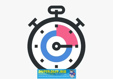 Perfmatters v1.4.2 - ускоритель Wordpress скачать слив