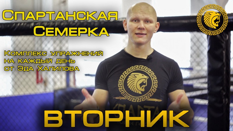 Спартанская семёрка - Эд Халилов слив курса