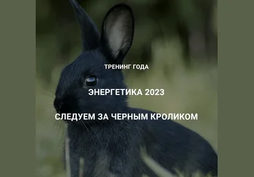 Дмитрий Лаптев Дао-Сфера Энергетика 2023. Следуем за черным кроликом 2023 скачать слив