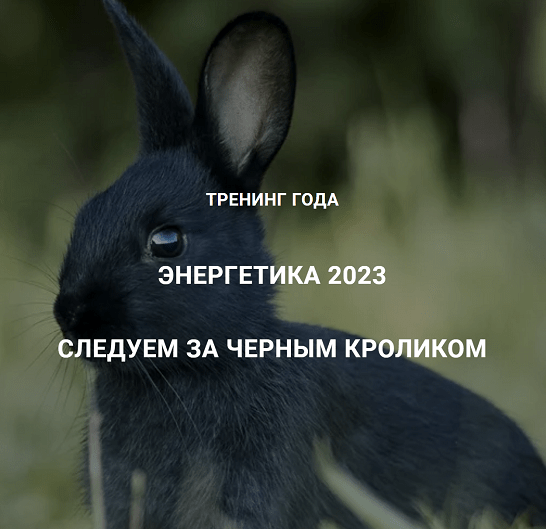 Дмитрий Лаптев Дао-Сфера Энергетика 2023. Следуем за черным кроликом 2023 слив курса