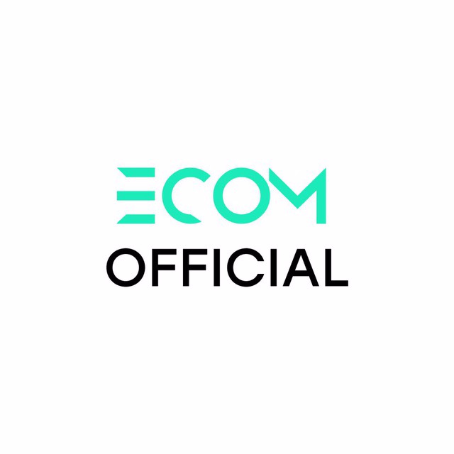 ecomof ECOMOFFICIAL 0-100K$ SHOPIFY DROPSHIPPING 2020 слив курса