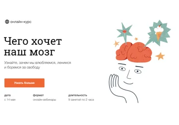 Вячеслав Дубынин Чего хочет наш мозг 2021 скачать слив