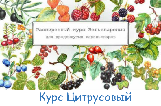 Ирина Таро Большой Цитрусовый курс 2023 слив курса